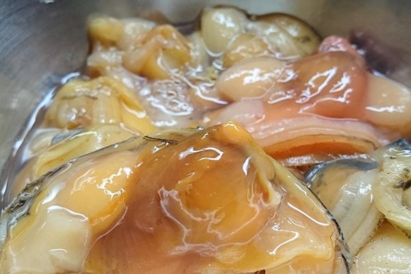 連休はいかがでしょうか!