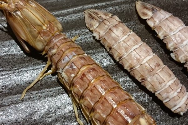 地の物