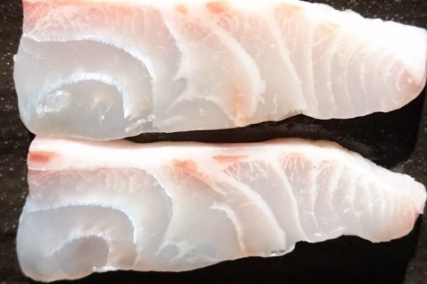 イシダイ